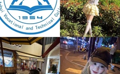 美国ceranetwork超清免费